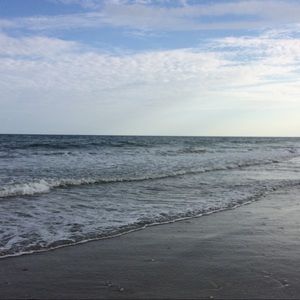 Meet your Posher, Paris